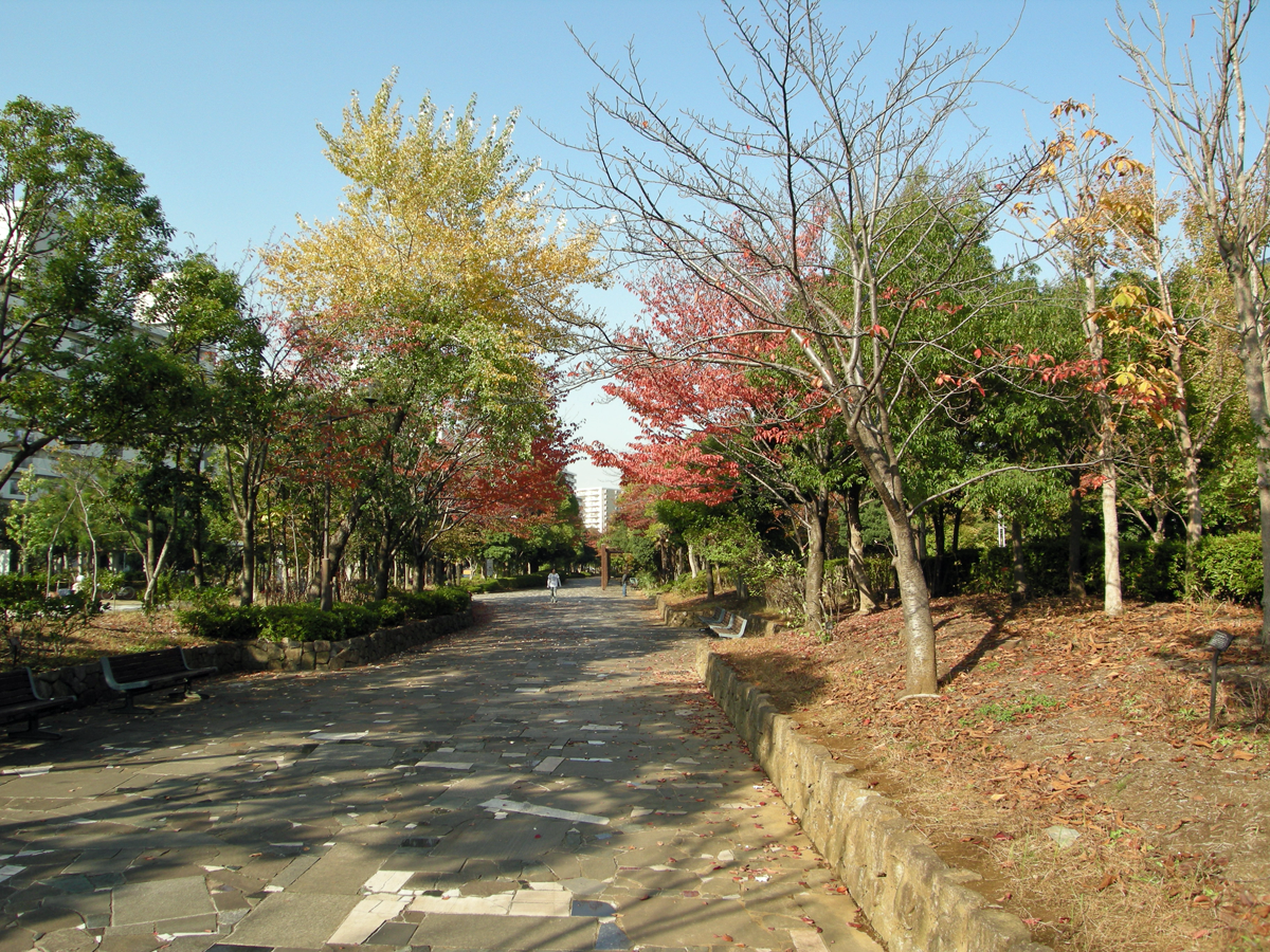 画像　清新町の秋の風景