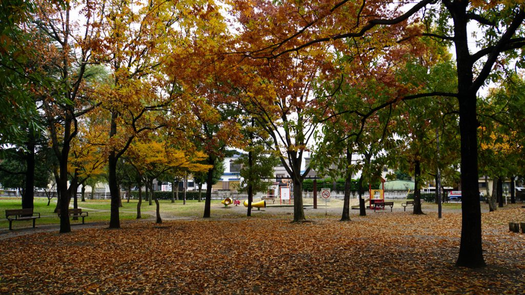 都立篠崎公園　秋の風景