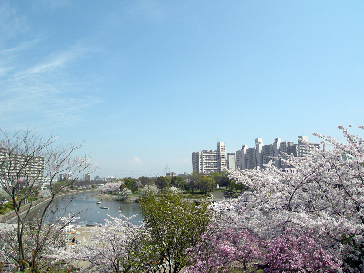 新左近川親水公園と葛西海岸堤防 江戸川フォトライブラリー