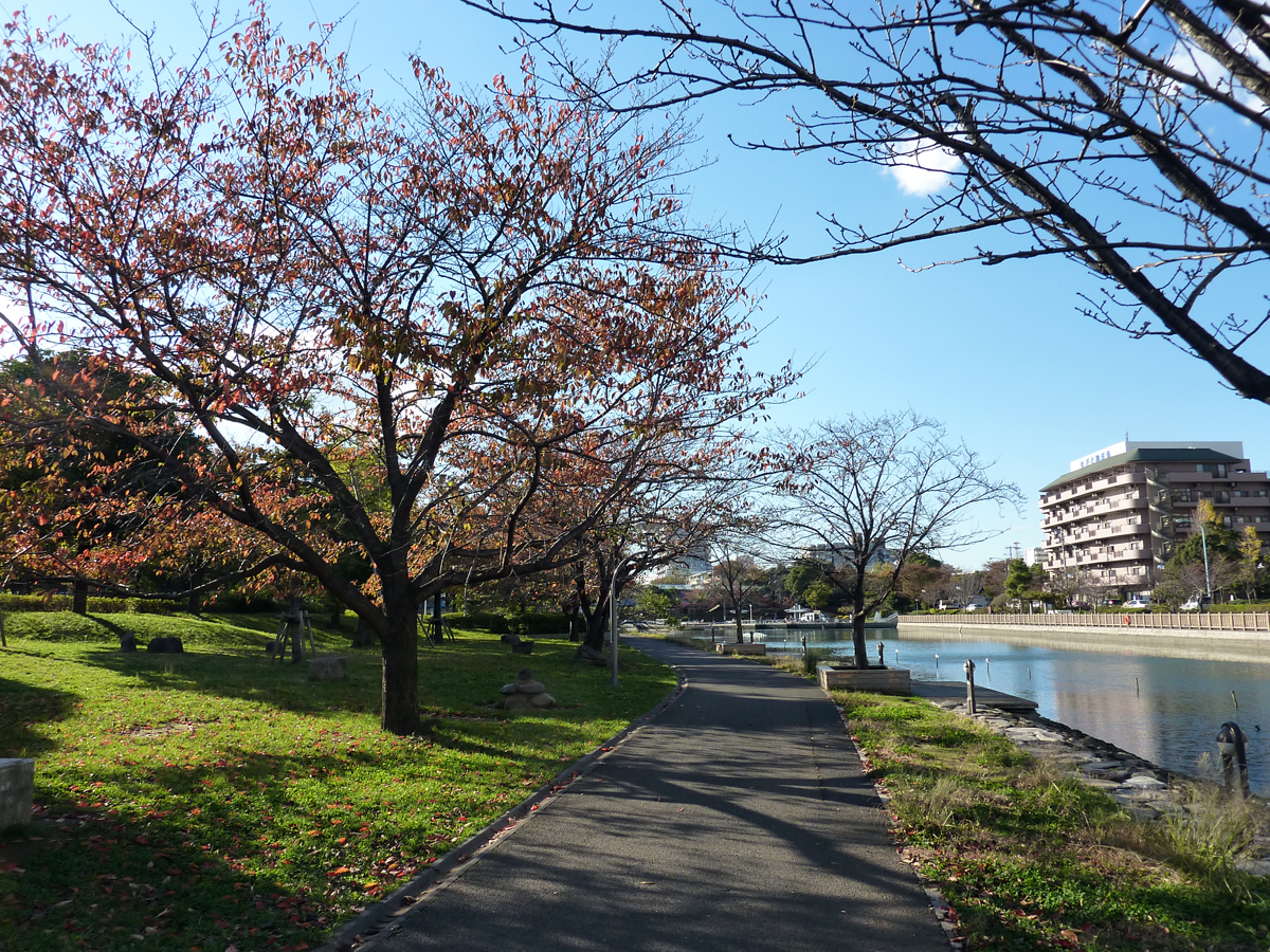 新左近川親水公園と葛西海岸堤防 江戸川フォトライブラリー