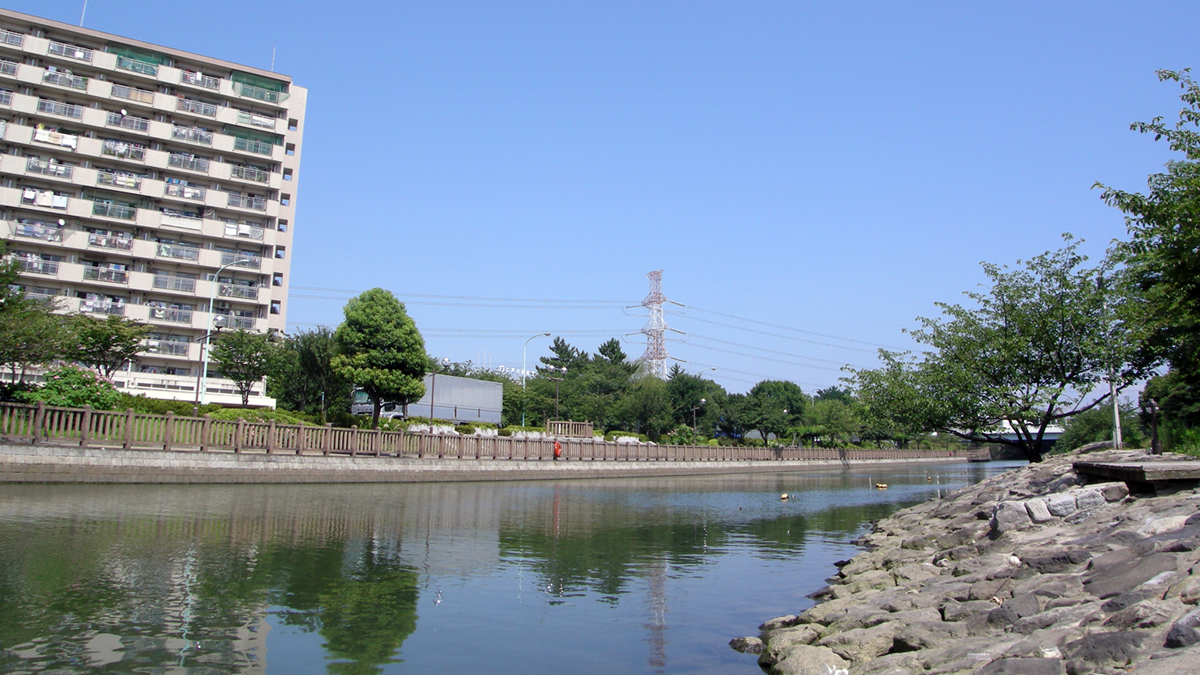 新左近川親水公園と葛西海岸堤防 江戸川フォトライブラリー