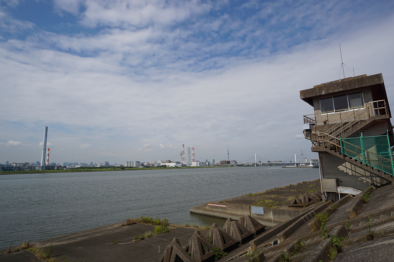 新左近川親水公園と葛西海岸堤防 江戸川フォトライブラリー