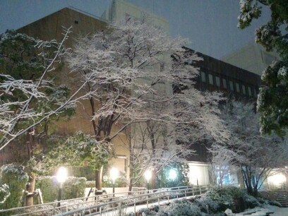 画像　区役所の雪景色