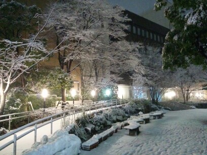 画像　区役所の雪景色