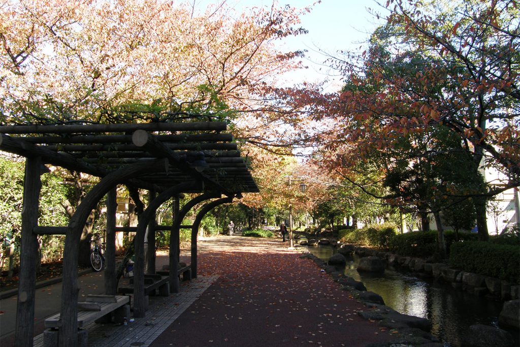 画像　小松川境川親水公園　秋の風景