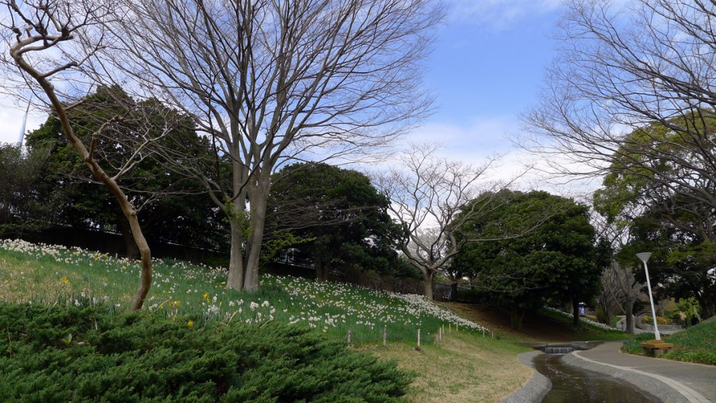 画像　新長島川親水公園の冬の風景 