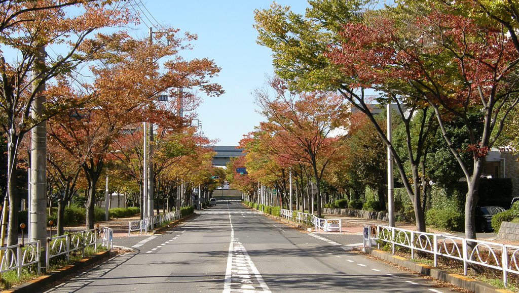 画像　清新町の秋の風景