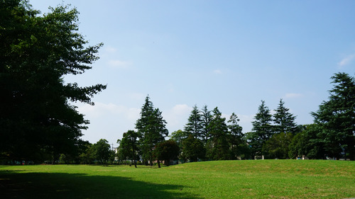 都立篠崎公園　夏の風景