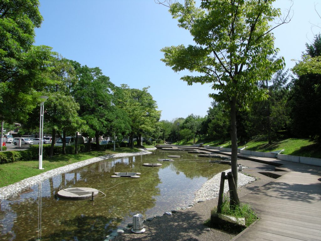 画像　新長島川親水公園の夏の風景