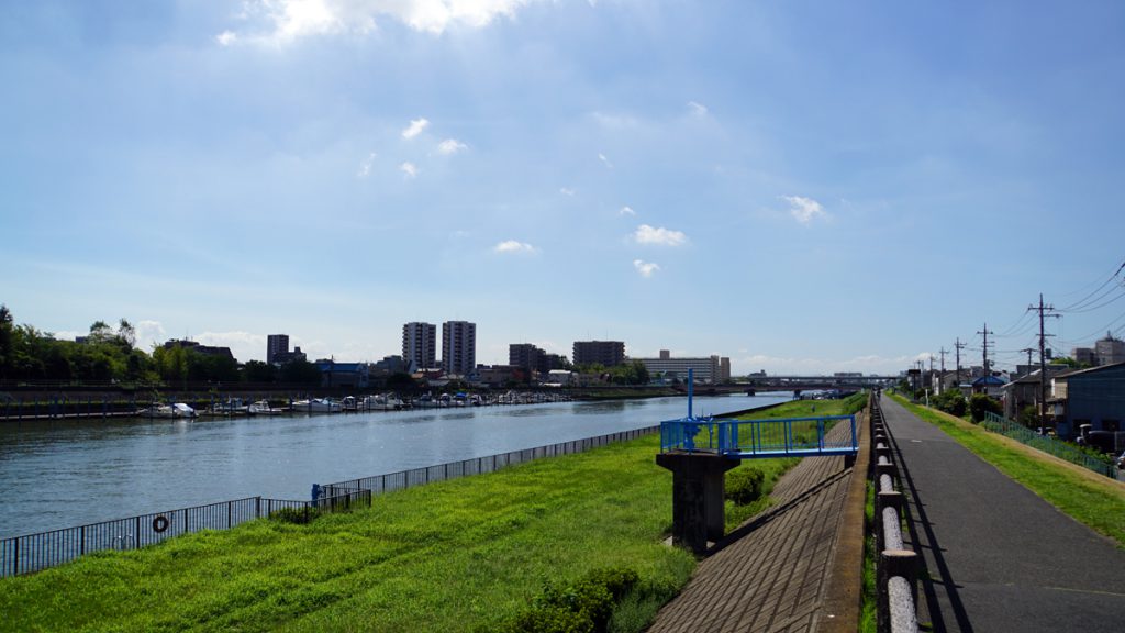 画像　新中川の風景