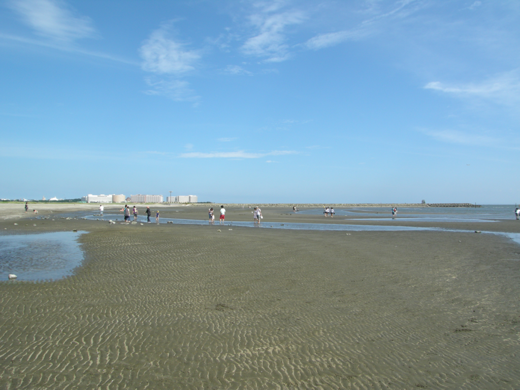 画僧 葛西海浜公園の海岸