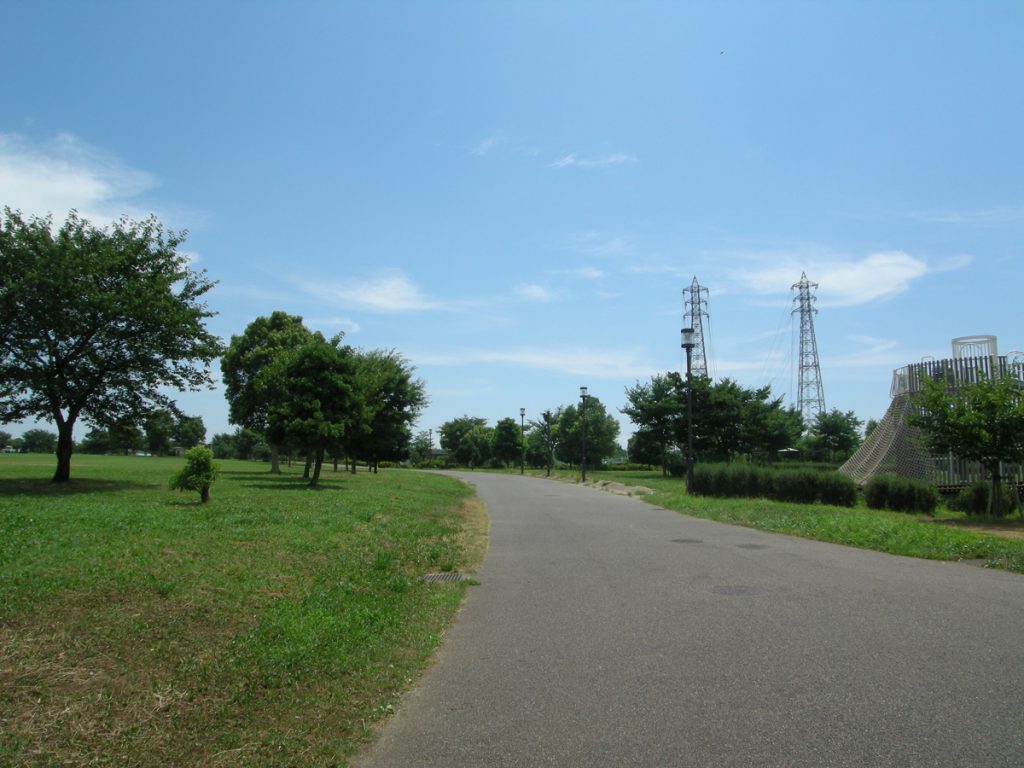 大島小松川公園の夏の風景