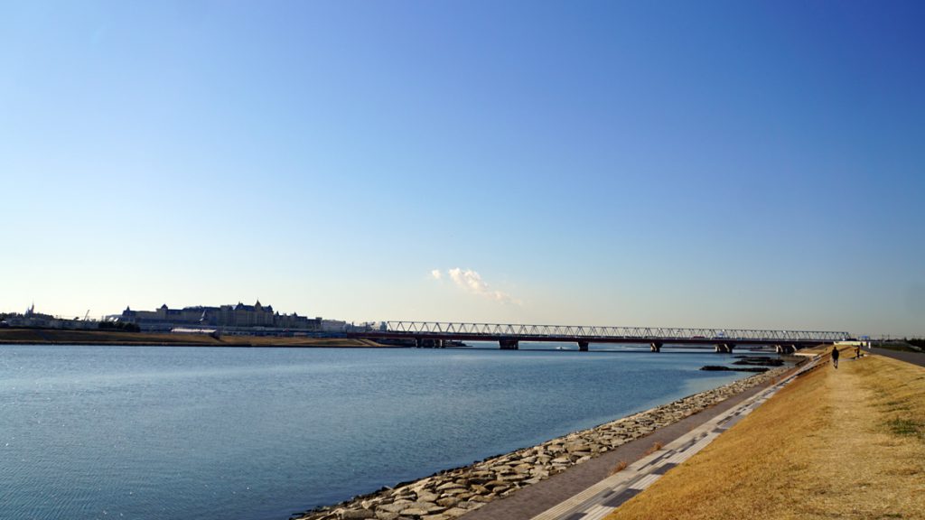 画像　旧江戸川の下流