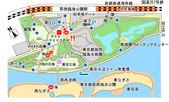 葛西臨海公園の桜 江戸川区内のおススメのお花見 江戸川フォトライブラリー