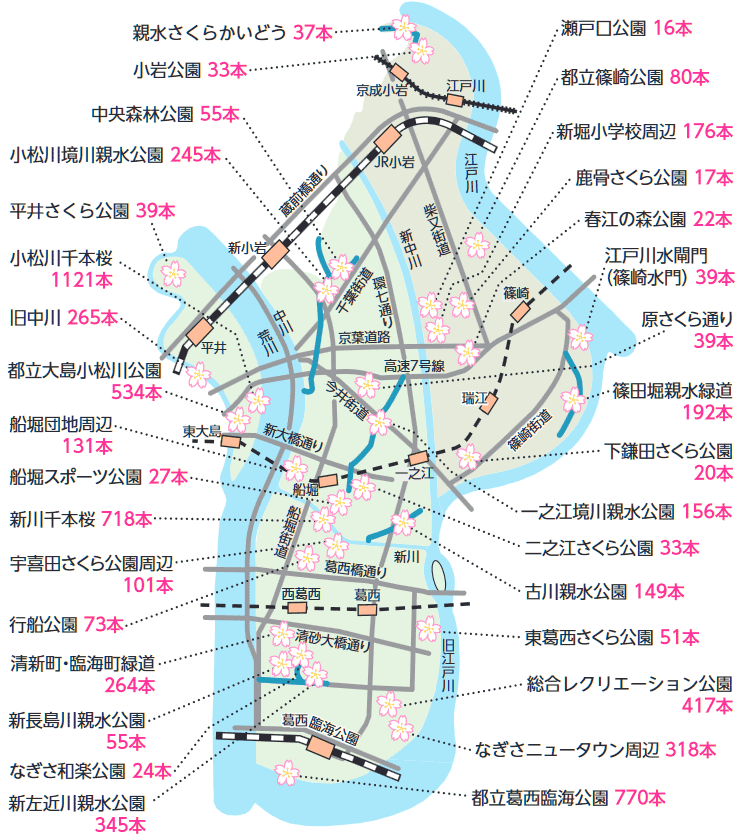 画像　江戸川区のお花見マップ