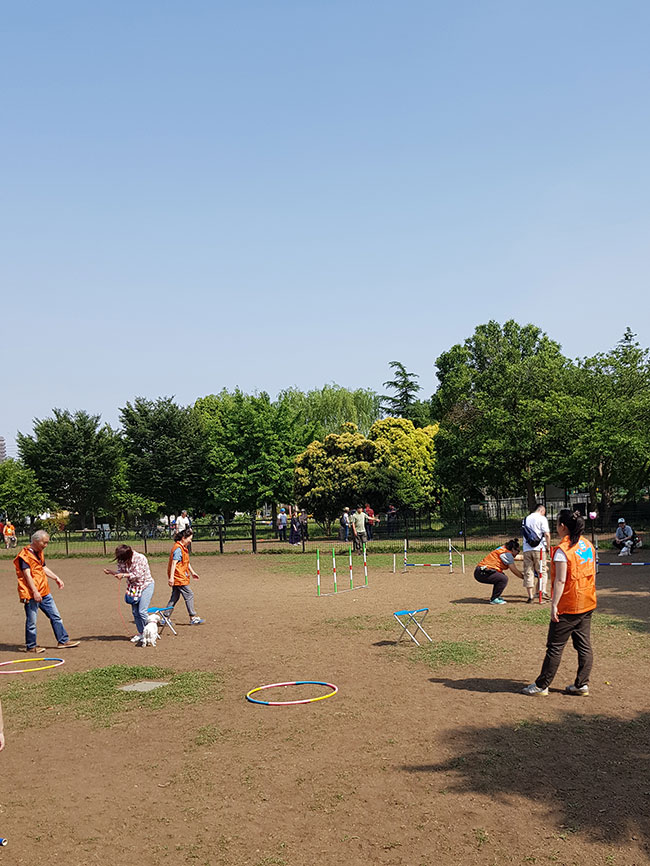 犬のしつけ方教室 江戸川保健所主催 に参加してきた 18年5月 江戸川フォトライブラリー