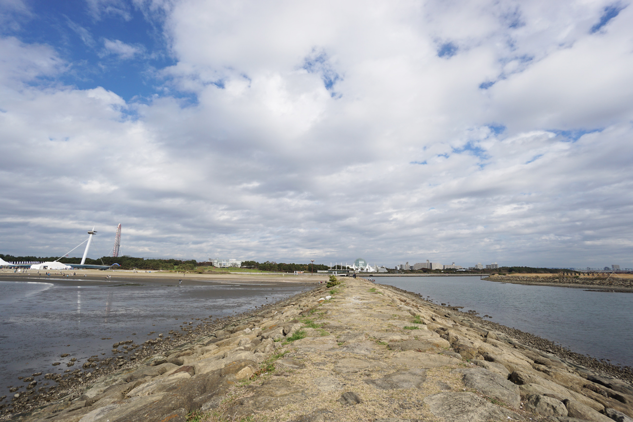 地図でみる葛西海浜公園の歴史 ラムサール条約湿地 東京都初 江戸川フォトライブラリー