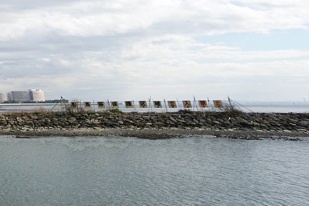 画像　葛西海浜公園の東なぎさに設置されている「野鳥等保護区域立入禁止」の看板