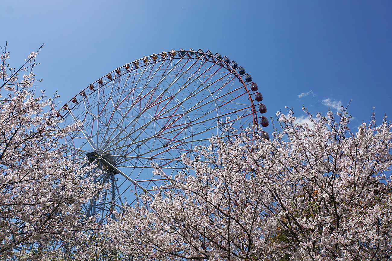 葛西臨海公園の歴史と春夏秋冬の風景 江戸川フォトライブラリー