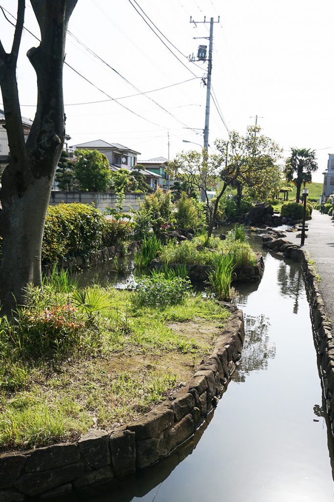 画像　江戸川堤防近くの本郷用水親水緑道