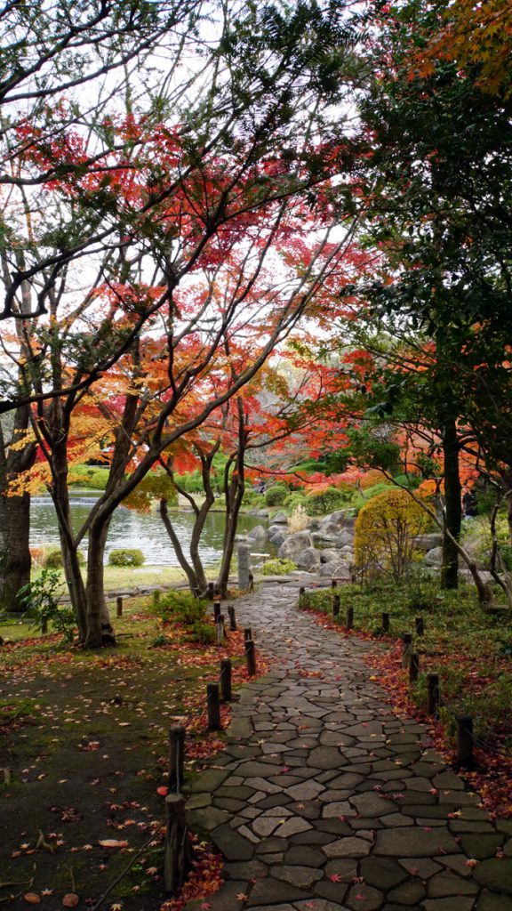 画像　平成庭園の秋の風景