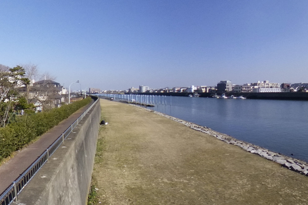 サイズはF4です江戸川　風景　旧江戸川